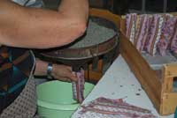 Les pratiques de culture des lavandes dans les Alpes-de-Haute-Provence