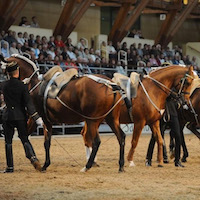 Le Cadre Noir de Saumur