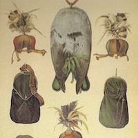 La fauconnerie française