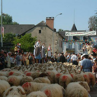 Fêtes des bergers à Aramits