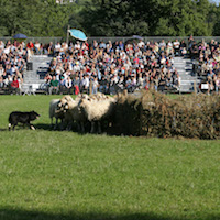 Fêtes des bergers à Aramits