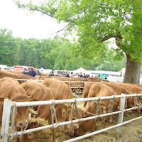 Foire de la Latière