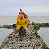 Les pêcheries fixes du littoral de la Manche