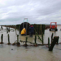 Les pêcheries fixes du littoral de la Manche