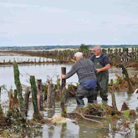 Les pêcheries fixes du littoral de la Manche