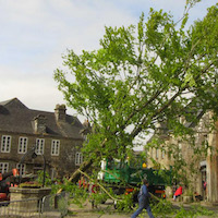 Arbre de mai de Locronan