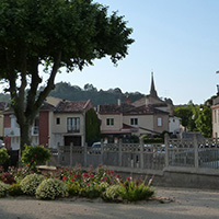 La culture du raisin chasselas de Moissac