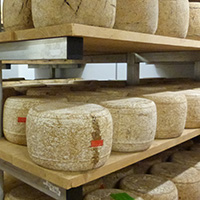 La fabrication du fromage de Salers