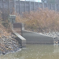 La pêche des poissons d’eau douce dans les étangs de la Dombes