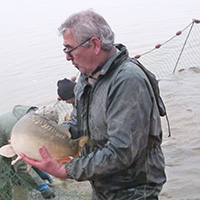 La pêche des poissons d’eau douce dans les étangs de la Dombes