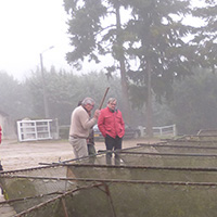 La pêche des poissons d’eau douce dans les étangs de la Dombes