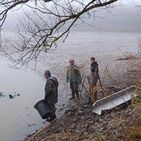 La pêche des poissons d’eau douce dans les étangs de la Dombes