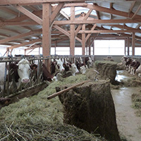 Les salaisons fumées au tuyé du Haut-Doubs