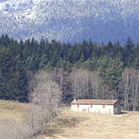 La fabrication de la fourme de Montbrison