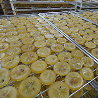 La fabrication des fruits confits d'Apt