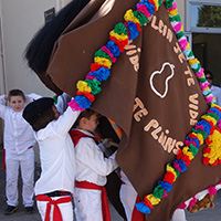 Le carnaval de Montblanc