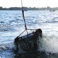 La pêche à la palourde dans le golfe du Morbihan