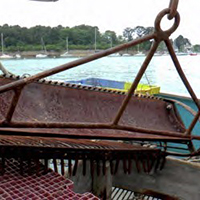 La pêche à la palourde dans le golfe du Morbihan