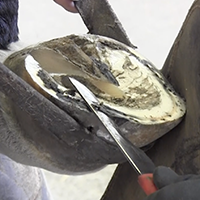 Les savoir-faire de la maréchalerie, pratiques d'atelier de la Garde républicaine