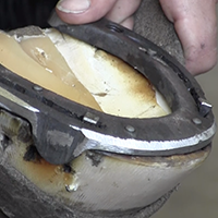 Les savoir-faire de la maréchalerie, pratiques d'atelier de la Garde républicaine