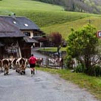 L’art de la rissole, ou r’zoule, dans le massif des Bauges