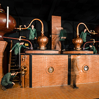 Les savoir-faire de l’élaboration du cognac