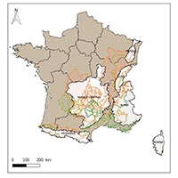 Les pratiques et savoir-faire de la transhumance en France