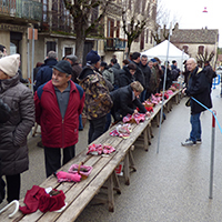 La culture de la truffe noire du Quercy à Lalbenque