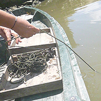 La pêche aux engins et filets dans le bassin de l’Adour