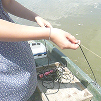 La pêche aux engins et filets dans le bassin de l’Adour