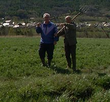 Les pratiques d'irrigation gravitaire du Briançonnais