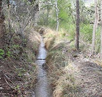 Les pratiques d'irrigation gravitaire du Briançonnais