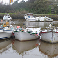 Les pêches traditionnelles en Basse-Loire aval