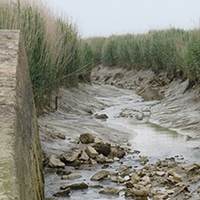 Les pêches traditionnelles en Basse-Loire aval