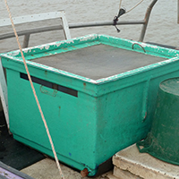 Les pêches traditionnelles en Basse-Loire aval