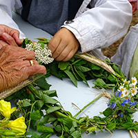 « Las bonas èrbas » (les bonnes herbes) : usage de la flore et médecine populaire dans les Pyrénées