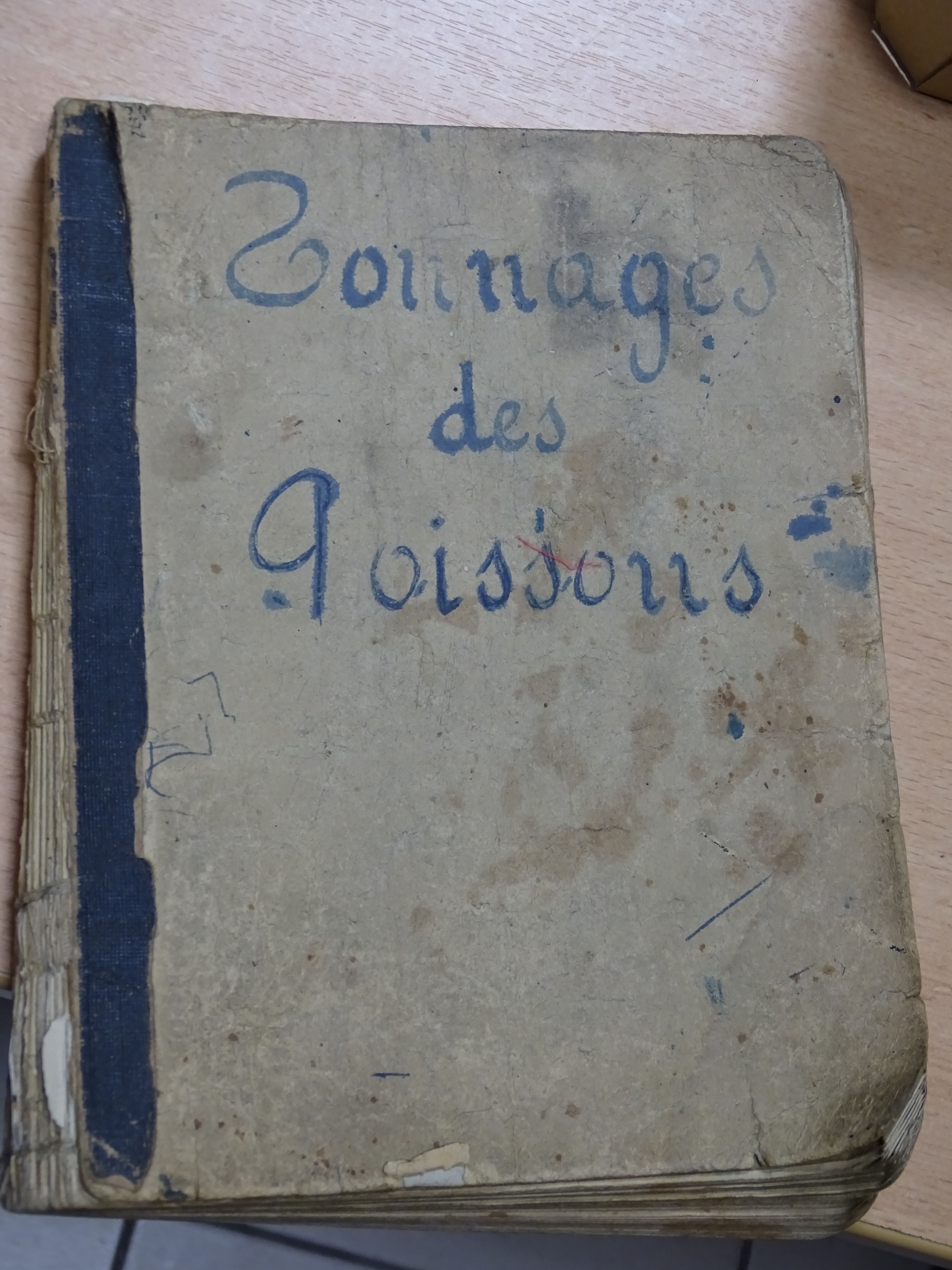 Registre de tonnage des poissons capturés par campagne (1923-1945), prud’homie de pêche de Martigues, mentionnant l'évolution des prises de dix espèces. © A. Blayo, 2019