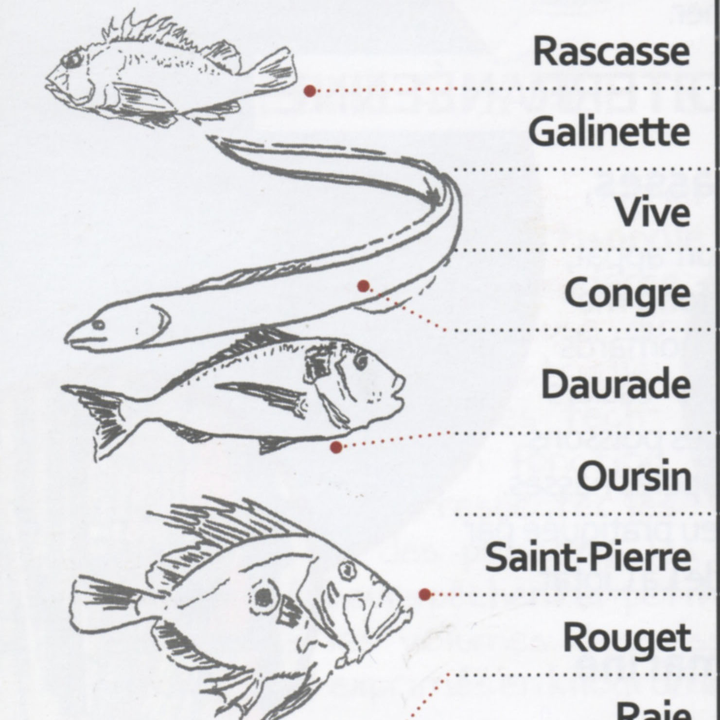 Pratiques des prud'homies de pêche en Méditerranée