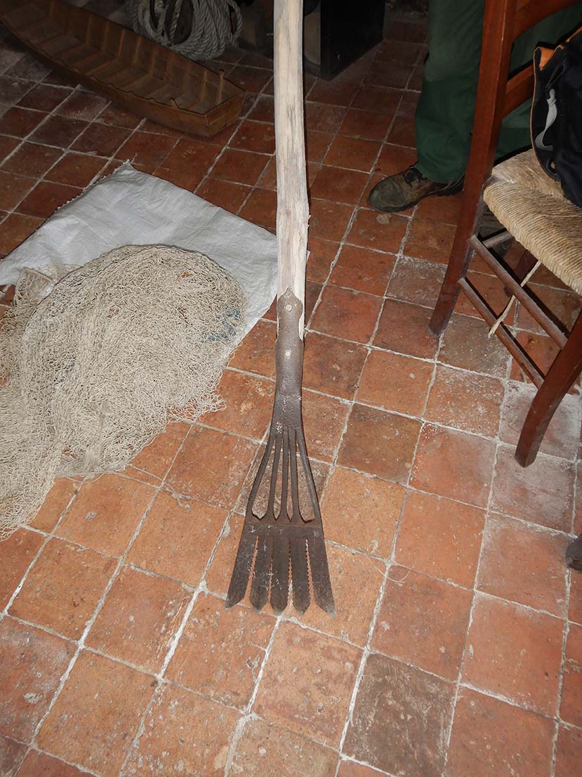 Foëne (ou fouine) et peigne à anguille, pratiques éteintes mais mémoire encore conservée en Loire aval © Jules Danto.