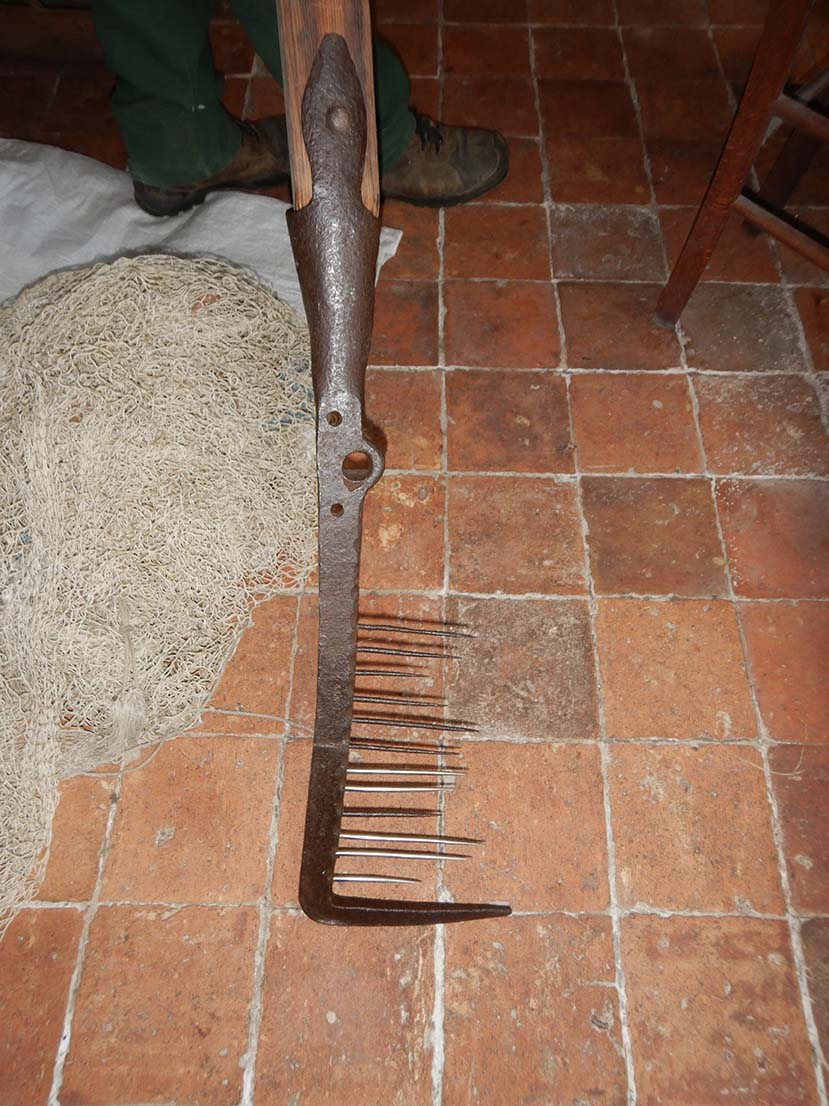 Foëne (ou fouine) et peigne à anguille, pratiques éteintes mais mémoire encore conservée en Loire aval © Jules Danto.
