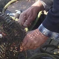 Les pratiques traditionnelles des pêcheurs aux engins et aux filets de Loire-Atlantique