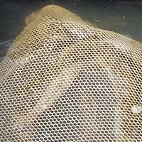 Les pratiques traditionnelles des pêcheurs aux engins et aux filets de Loire-Atlantique