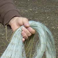 Les pratiques traditionnelles des pêcheurs aux engins et aux filets de Loire-Atlantique