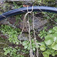 Les pratiques traditionnelles des pêcheurs aux engins et aux filets de Loire-Atlantique