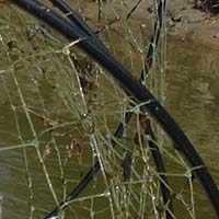 Les pratiques traditionnelles des pêcheurs aux engins et aux filets de Loire-Atlantique