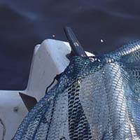 Les pratiques traditionnelles des pêcheurs aux engins et aux filets de Loire-Atlantique
