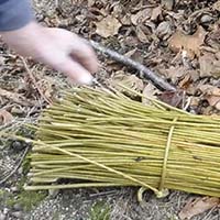 Les pratiques traditionnelles des pêcheurs aux engins et aux filets de Loire-Atlantique