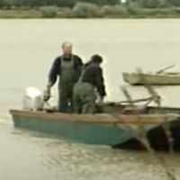 Les pratiques traditionnelles des pêcheurs aux engins et aux filets de Loire-Atlantique