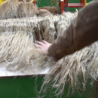 Les savoir-faire du lin textile