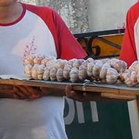 Les pratiques sociales et culturelles des Confréries oenogastronomiques en France